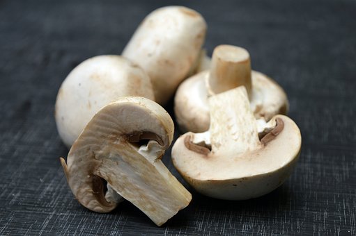 Real Mushrooms - Best Mushroom Capsule Supplements